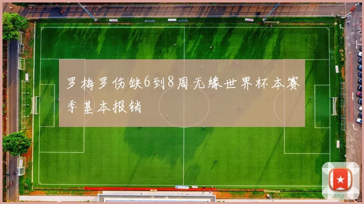 罗梅罗伤缺6到8周无缘世界杯本赛季基本报销